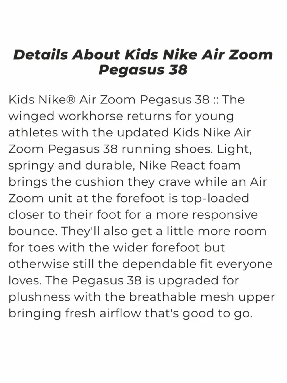 Nike Air Zoom Pegasus 38